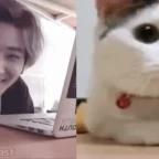 Mimic(copy2nd) voice changer