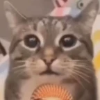 resonator voice changer