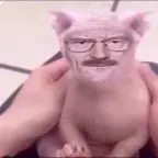 AI Voice Enhancer voice changer