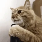 mic clean voice changer